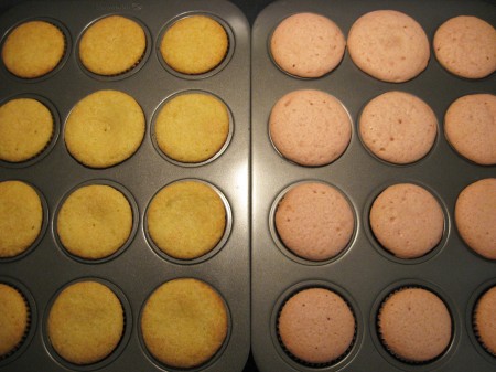 Cupcakes baked