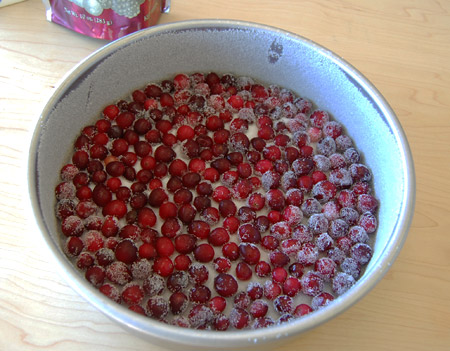 14cranberries6