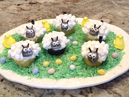 lamb, cupcake, herd