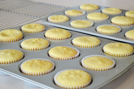 Cooled Cupcakes