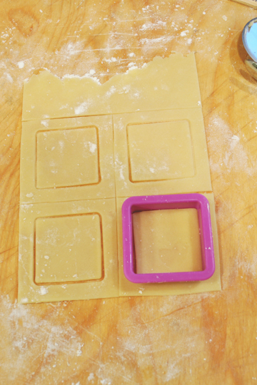 Cookie Cutter Squares