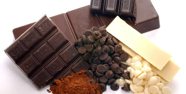 Variety of chocolate
