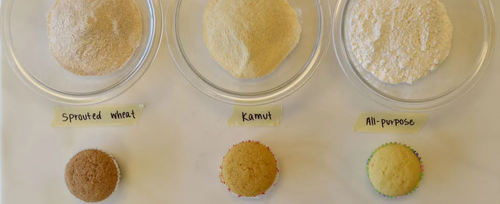 Different types of flour with muffin